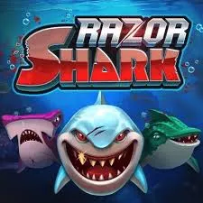 Razor Shark slot van Push Gaming